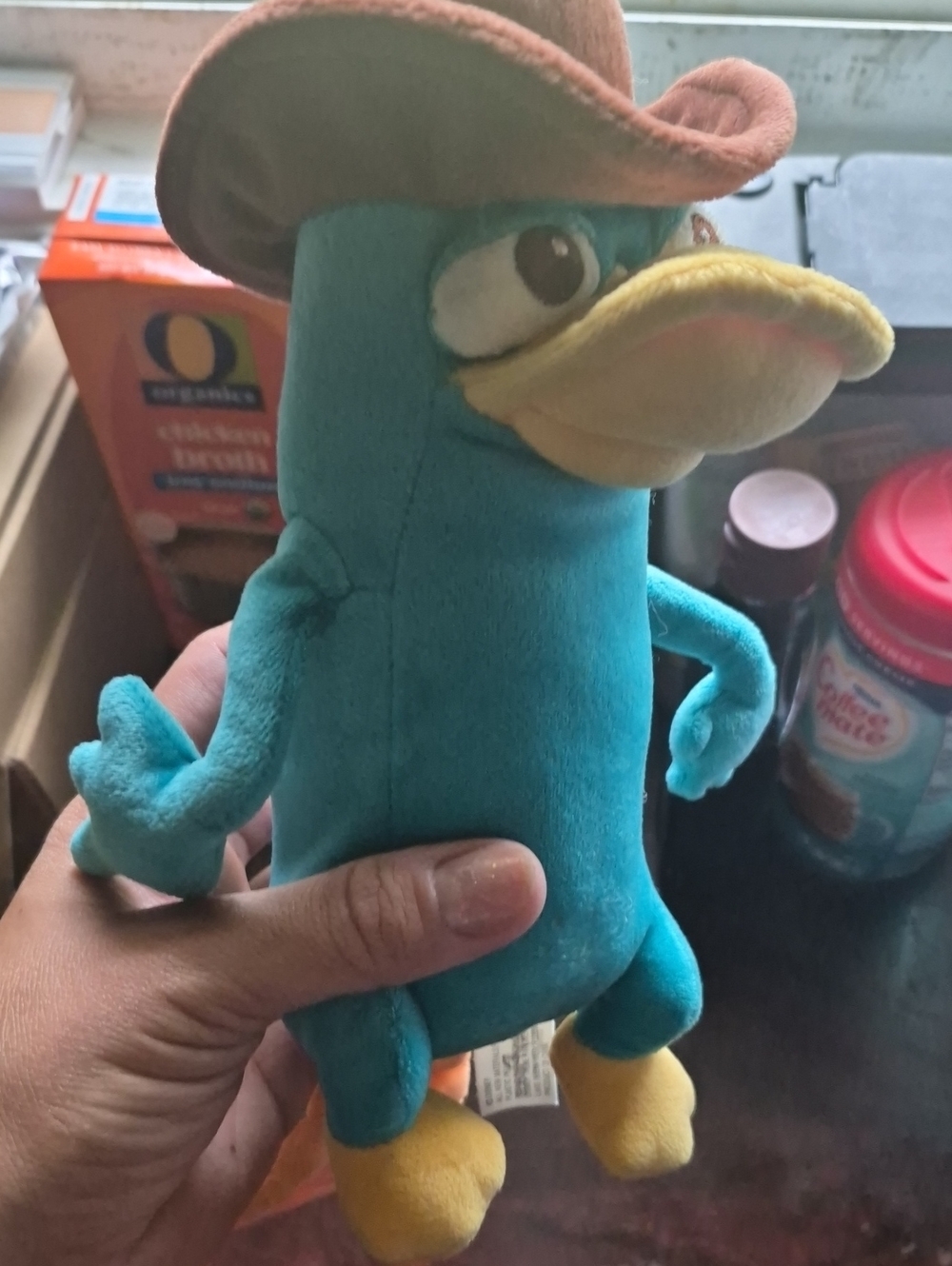 Phinius And Ferb Perry The Platypus Disney